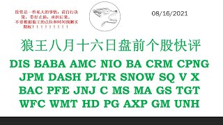 狼王八月十六日盘前个股快评 DIS BABA AMC NIO BA CRM CPNG JPM DASH PLTR SNOW SQ V X BAC PFE JNJ C MS MA GS TGT WFC [upl. by Dnalra944]