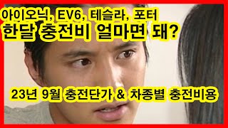 전기차충전요금 최신단가 및 차종별 한달 충전비용예상 [upl. by Iem540]