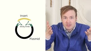 Introduction to Restriction Enzyme Cloning [upl. by Russo629]