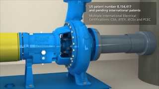 Goulds Pumps iFRAME Overview 3196 pump [upl. by Cole305]