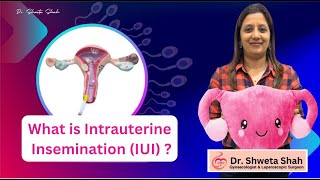 The Miracle of Intrauterine Insemination  Your Answer to Infertility [upl. by Artied]