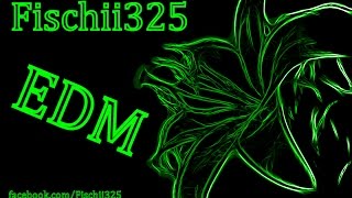 New Electro amp House 2014 EDM Mix 7 Fischii325 [upl. by Amitarp]