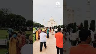 shortvideo tajmahal worldfamous worldheritage satvaajubaytshortsindia youtubeshort trending [upl. by Arinay224]