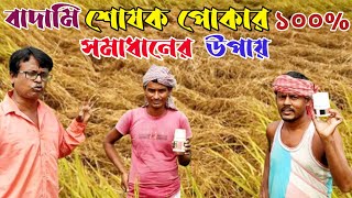 বাদামি শোষক পোকা বা কারেন্ট পোকা থেকে ধান রক্ষা করার স্থায়ী সমাধান  BPH on Paddy Control  bph my [upl. by Idihsar]