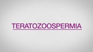 ¿Qué es la teratozoospermia [upl. by Christa407]