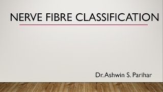 Nerve fibre classification [upl. by Anadroj951]