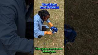 RUNNING WEED EATER off of PLASTIC GASOLINE ⛽️ science naturejab education foryoupage fyp [upl. by Eillime]