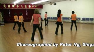 Cha Cha Teaching video [upl. by Hanima715]