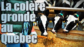 Les agriculteurs québécois étouffés par la bureaucratie [upl. by Thain]