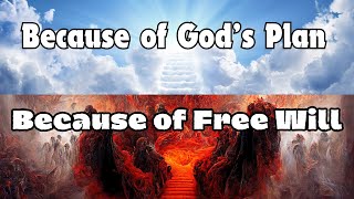 Free Will vs Gods Plan  Belief It Or Not [upl. by Cud246]