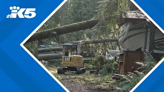 At least 50 RVs campers crushed by trees at Lake Stevens campground [upl. by Ennaeirb]