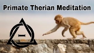 Primate Therian meditation  Music with Monkey and Lemur sounds [upl. by Bonucci]