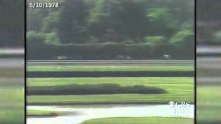 Watch Affirmed completes the Triple Crown in 1978 [upl. by Areyk]