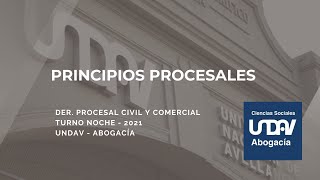 Principios procesales [upl. by Sophey]