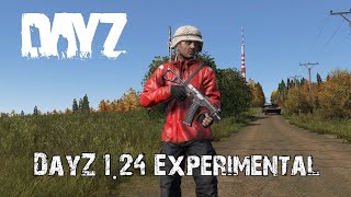 Everything New In DayZ Update 124 Experimental [upl. by Petrine]