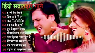 Hindi Gana🌹Sadabahar Song 💖हिंदी गाने 💔Purane Gane Mp3 💕Filmi Gaane अल्का याग्निक कुमार सानू गीत [upl. by Liemaj]