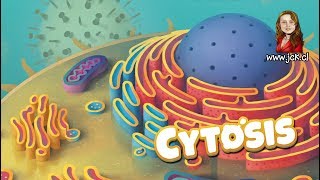 Cytosis JcK  Juego de Mesa  Como se Juega  Tutorial  Ludoismo [upl. by Ised494]