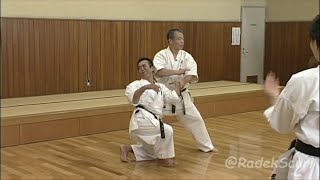 Seienchin  secret techniques English translation Yoshio Kuba Goju ryu Karate [upl. by Keegan]