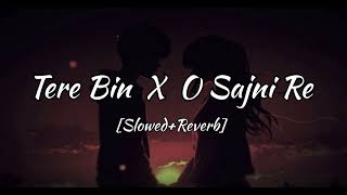 Tere Bin X Sajni Re  Atif Aslam  Arijit Singh  2024 [upl. by Gnidleif]