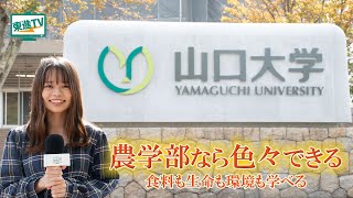 【山口大学農学部】健康や食料から地球規模の問題までを農学で解決する 山口大学農学部 山口大学 農学部 [upl. by Dyal577]