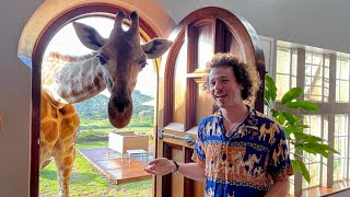 El famoso hotel de jirafas en Africa  ¿Vale la pena gastar TANTO 🦒 [upl. by Ryter]