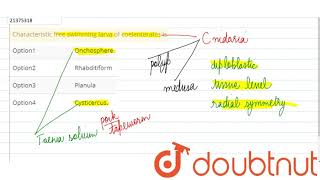Characteristic free swimming larva of coelenterates is  12  COELENTERATA AND CTENOPHORA OR CN [upl. by Golter154]