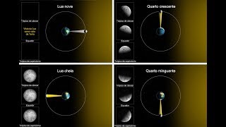 Animação do Movimento orbital e fases da Lua [upl. by Rankin145]