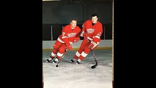 Brett Hull on Pavel Datsyuk [upl. by Trant]