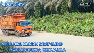 DETIK MENEGANGKAN MOBIL HINO MUATAN SAWIT OLENG amp Mobil BATU BARA MERAJALELA [upl. by Iain]