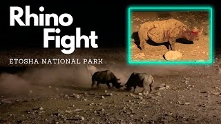 Rhino Flips Calf in Brutal Rhino Fight  Etosha National Park Namibia Okaukuejo Waterhole [upl. by Euqinim]