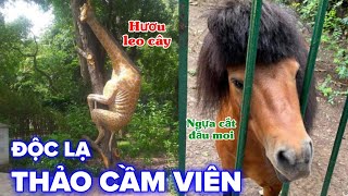 Những thứ độc lạ tại Thảo Cầm Viên  Top comments [upl. by Salocin]