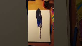 feather pen pen gadgets [upl. by Oiredised]