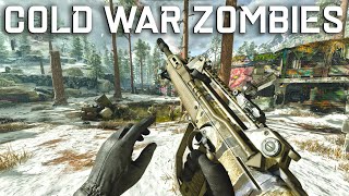 Cold War Zombies In 2024 Is AMAZING [upl. by Maloy]