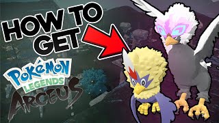 HOW TO GET HIUSUIAN BRAVIARY and RUFFLET in POKEMON LEGENDS ARCEUS [upl. by Atteyek749]