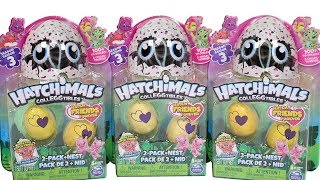 Hatchimals CollEGGtibles Season 3 Surprise Egg 2 Pack Unboxing Toy Review [upl. by Delija]