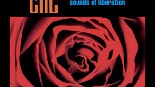 Ché  Sounds of Liberation ⌇ Full album ☆ 2000 ⌇ HD [upl. by Nylecoj375]