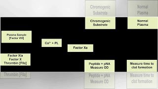 Factor VIII Assay  Tita TV [upl. by Adler]