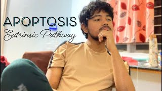 APOPTOSIS EXTRINSIC PATHWAY  DEATH DOMAIN  PATHOLOGY  MBBS [upl. by Yekcor]