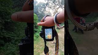 Nikon d3500 photography ideas 💡smartphone ytshorts ytshort camera [upl. by Reve709]