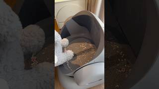 When raising a cat but not wanting to clean the litter box for it Smartcatlitterboxneakasa [upl. by Normac]