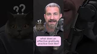 Most Effective GRATITUDE Practice 💝 hubermanlab neuroscience shorts [upl. by Sherl830]