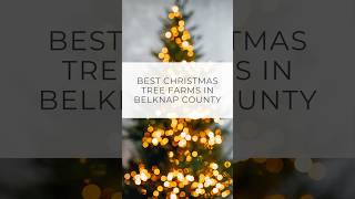 Best Christmas Tree Farms in Belknap County [upl. by Ekle143]