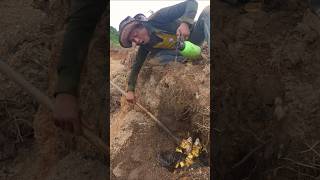 Metal Detector vs Map for the Best Finds Treasure metaldetecting shortsvideo [upl. by Rekcut]