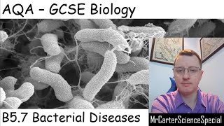 B57  Bacterial Diseases  AQA Biology GCSE 91 [upl. by Okechuku274]