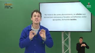 6º Ano  Ciências  Aula 39  Níveis de Organização dos Seres Vivos [upl. by Ellinnet]