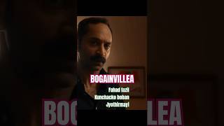 Bogainvillea trailer bogainvillea fahadhfaasil kunchackoboban jyothirmayi sthuthi shortsfeed [upl. by Earla]