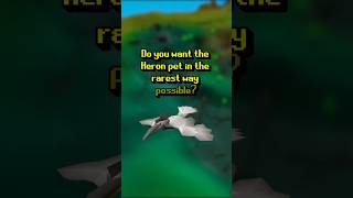 Rarest Way to Get Heron Fishing Pet OSRS osrs runescape fishing fishingpet heron [upl. by Asiruam498]