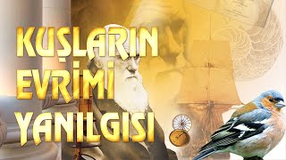 Kuşların Evrimi Yanılgısı [upl. by Ayamat]