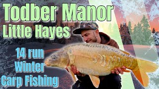 14 RunTodber ManorLittle HayesCarp FishingWinter Carp Fishing [upl. by Chapell453]