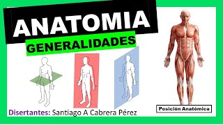 ▌ANATOMÍA ▌INTRODUCCIÓN Y GENERALIDADES Posición Anatómica  Planimetria ▌💀 [upl. by Corinne]